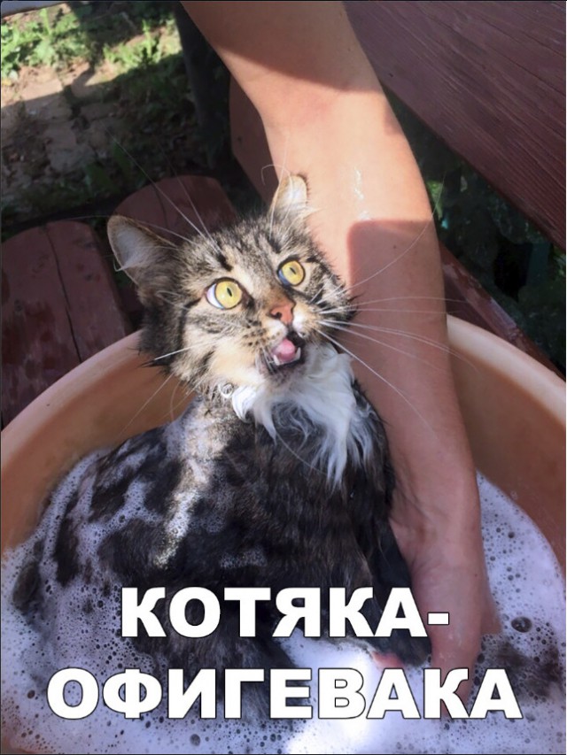 Нестандартный юмор