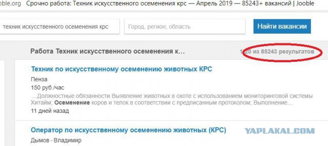 Россия столкнулась с дефицитом рабочей силы