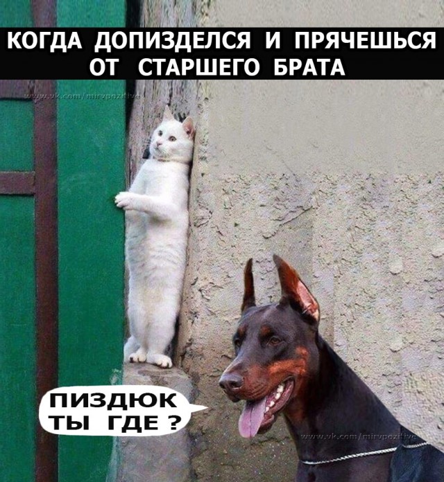 Пошлая пятница