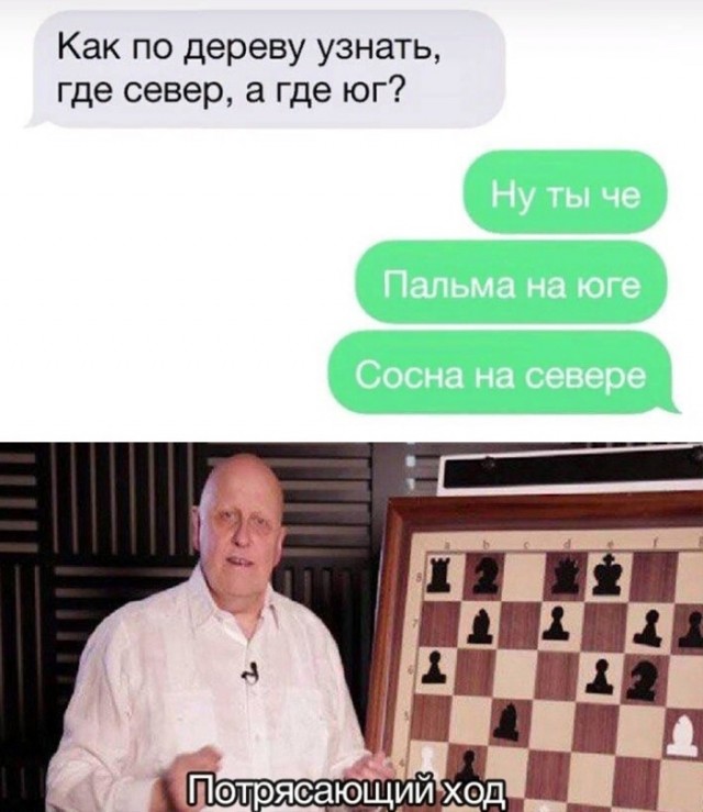 Дважды незамужняя и двое в багажнике. Переписок пост