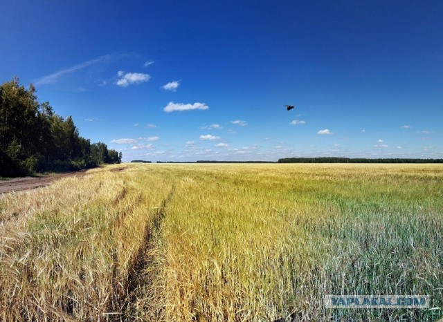 Сам себе фотограф