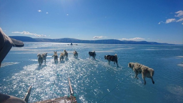 Юг Гренландии: что-то нехорошее с климатом происходит на нашей планете