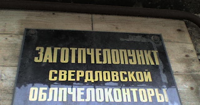 Немного картинок для настроения 28.04.20