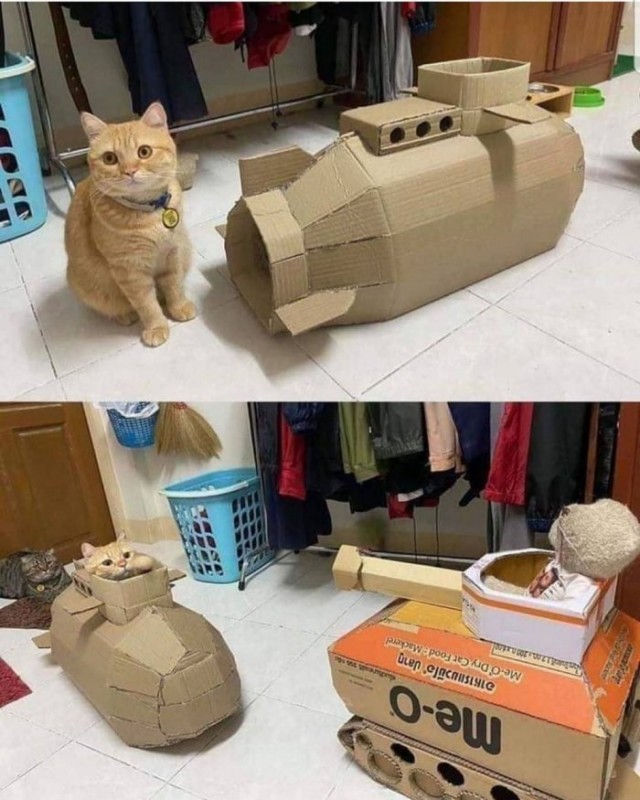 Эти забавные животные