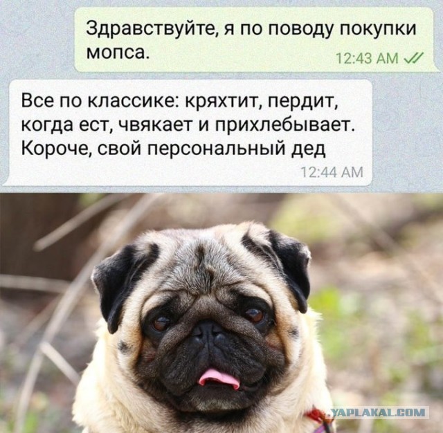 Бредзона 03.08.2020