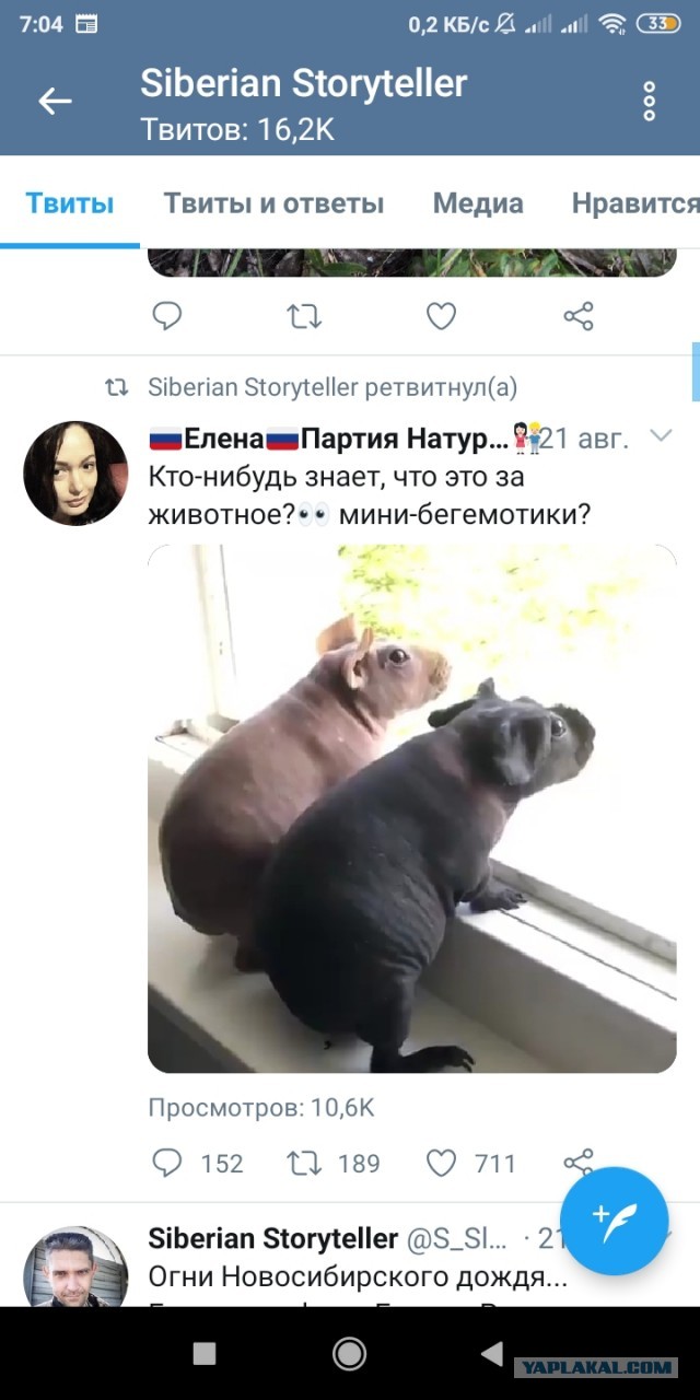 О жадных мужчинах. Или умных? (Немного мата)