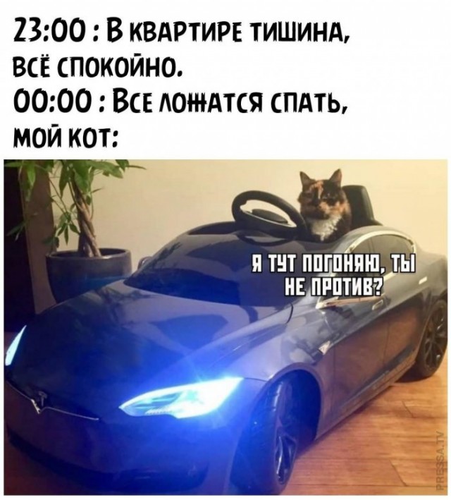 Немного картинок для настроения 24.09.20