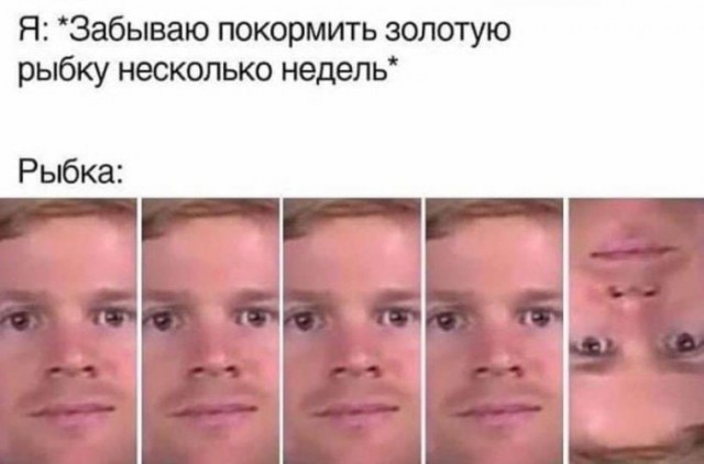 Немного картинок для настроения 11.11.20