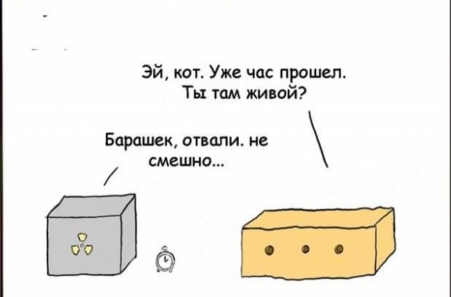 Бредзона 03.12.20