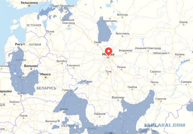 В международной зоне прилёта Внуково установили ширму