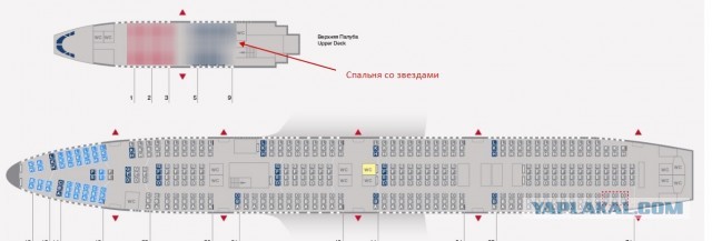 Под крылом роскоши: скандальные откровения стюардессы, работавшей в частных самолетах богачей