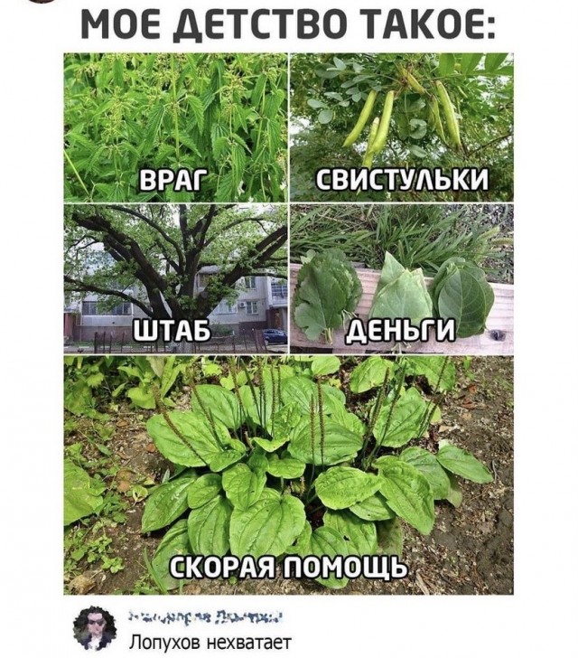 Картинки и мемы для настроения 22.06.2021