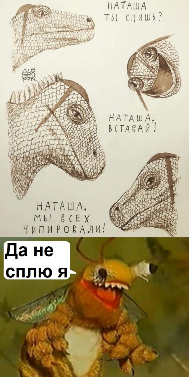 Всяческие картинки 09.07.2021