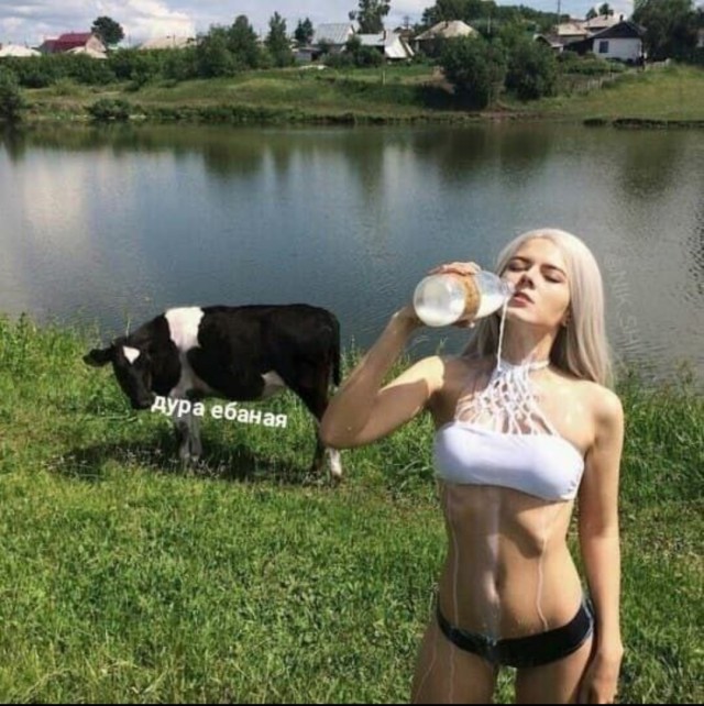 Не очень адекватный юмор