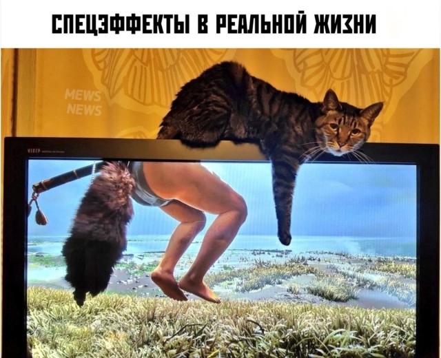 Картинки и мемы для настроения 02.11.2021