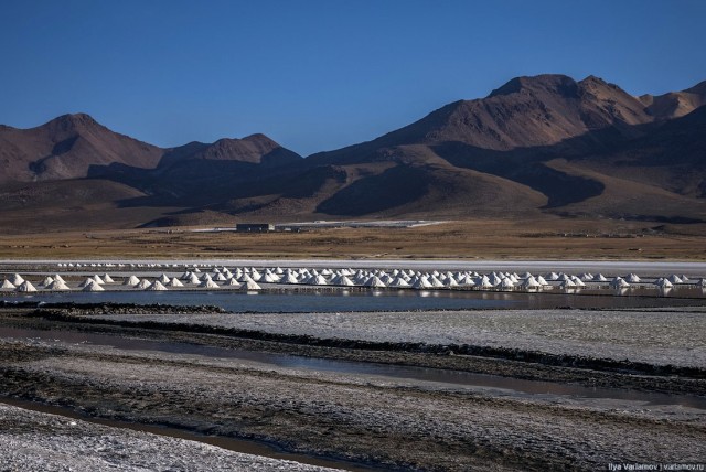 Арекипа, Перу: солёные озёра, ламы и альпака