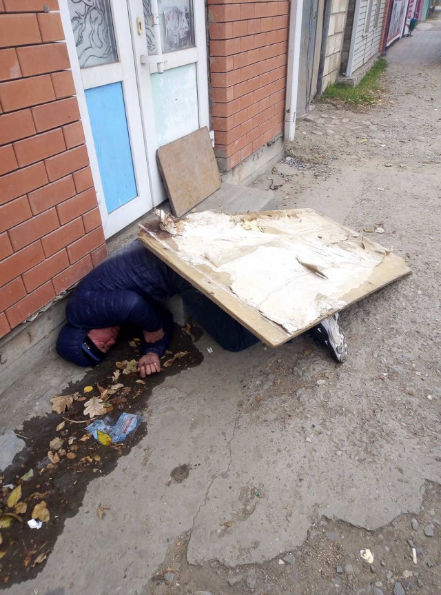 Скотсети и прочие интернеты 19.11.2021