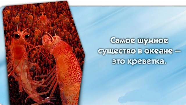 70 удивительных фактов