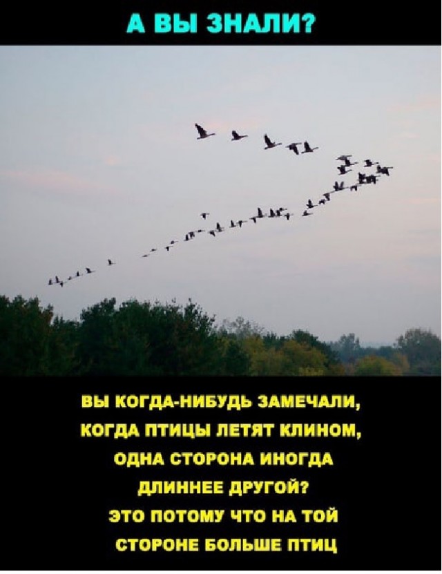Картинки с надписями и всякие жизненные фразы
