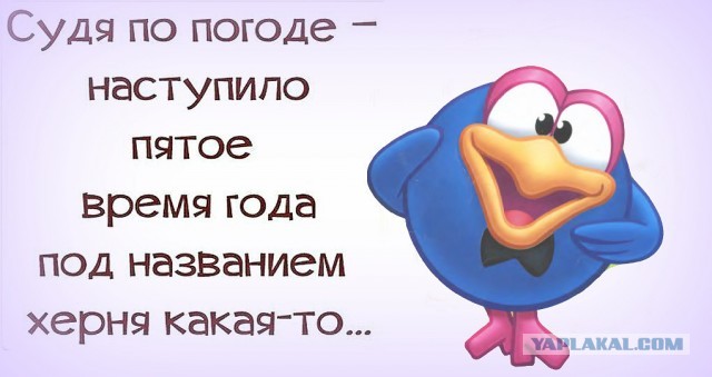 Картинки разные 25.04.2022
