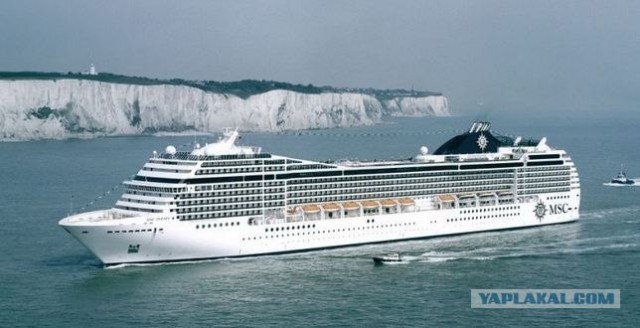 Любовь с первого взгляда