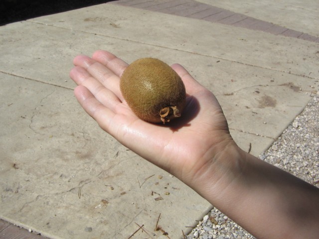 Отдых в Черногории (сентябрь 2012)