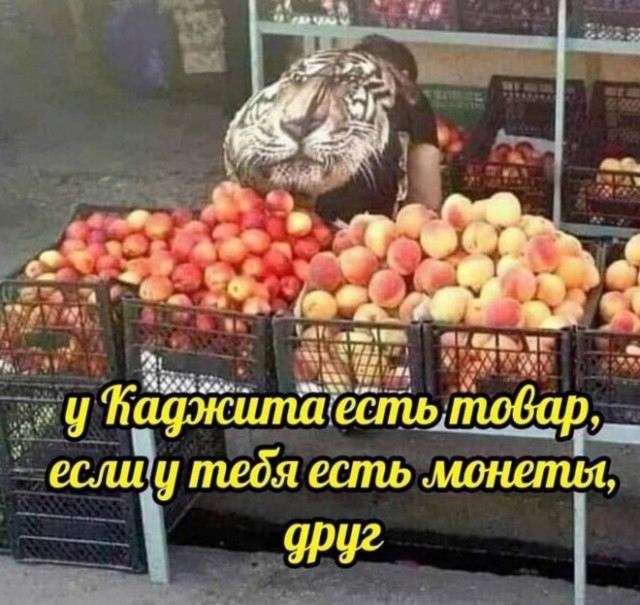 Картинки и мемы для настроения - 21