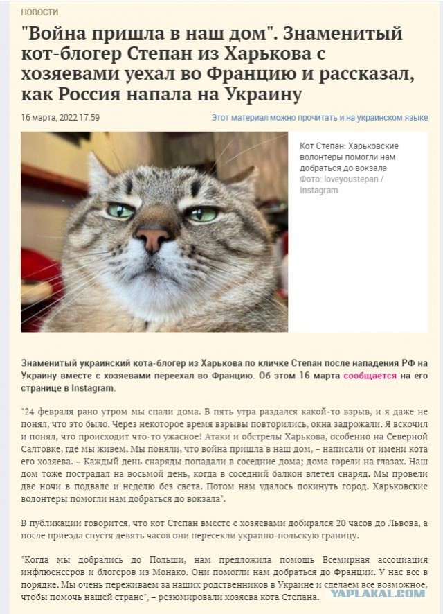 Проснулись... Время завтракать