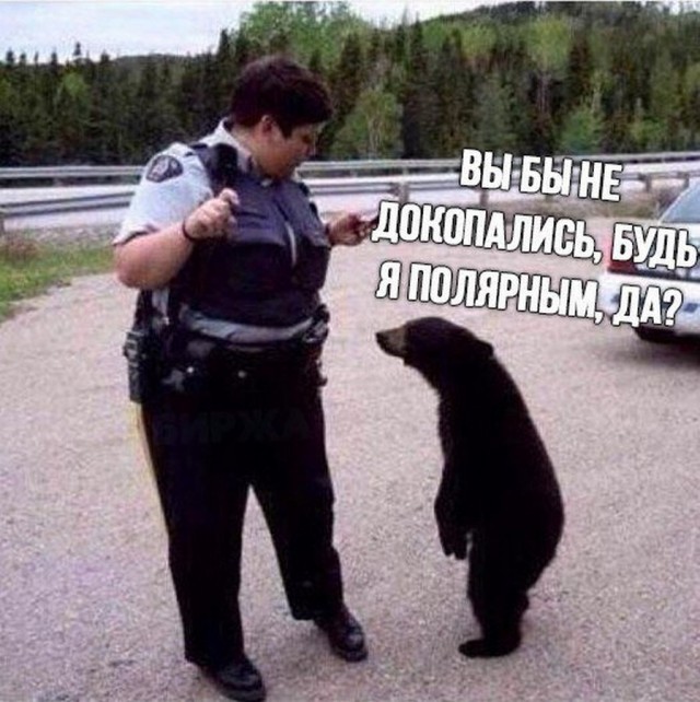 Поржать немного с утра!