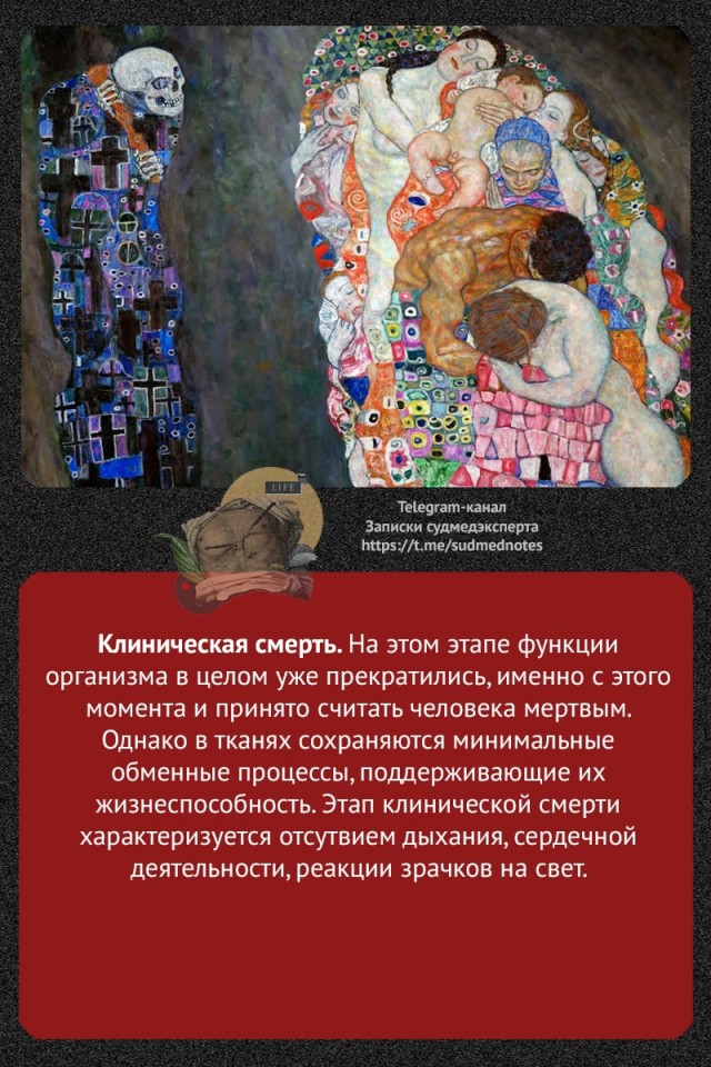О терминальных состояниях организма
