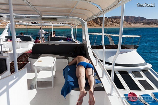 Синайские приключения. Шарм-эш-Шейх и окресности