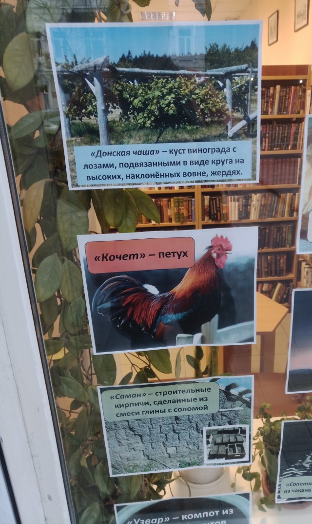 Иду я такой по Ростову.