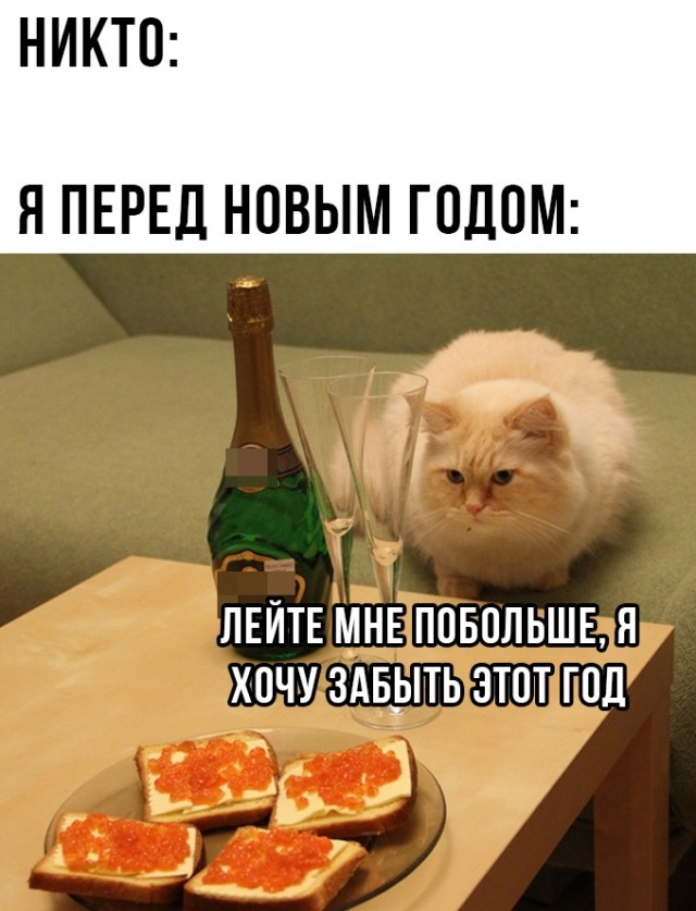Немного картинок для настроения