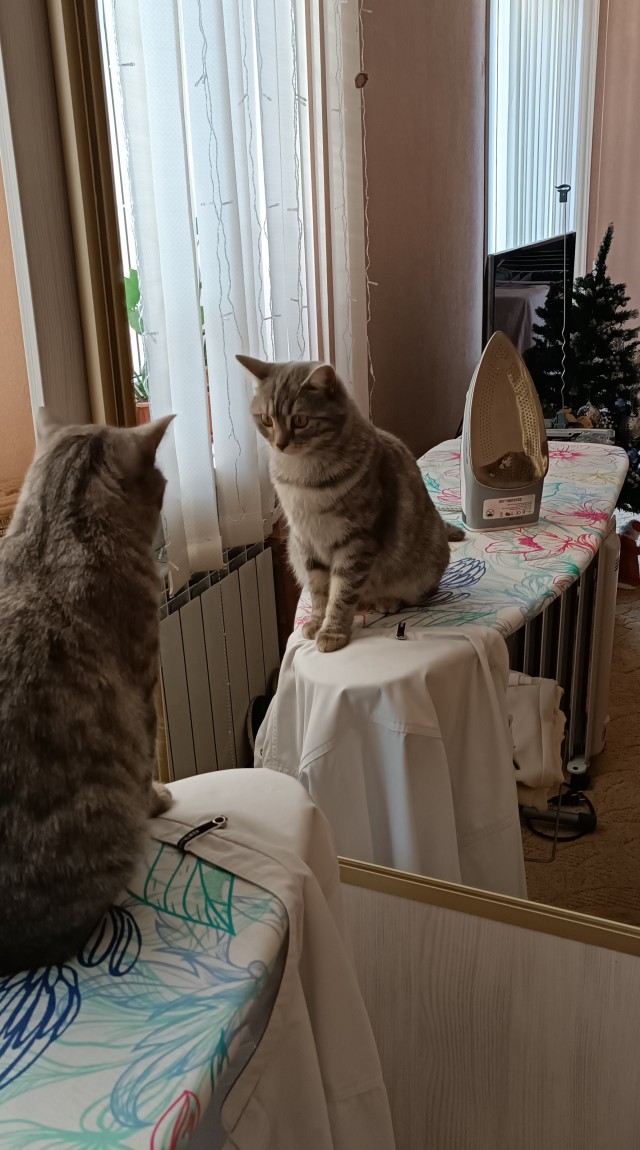 Усатый нянь