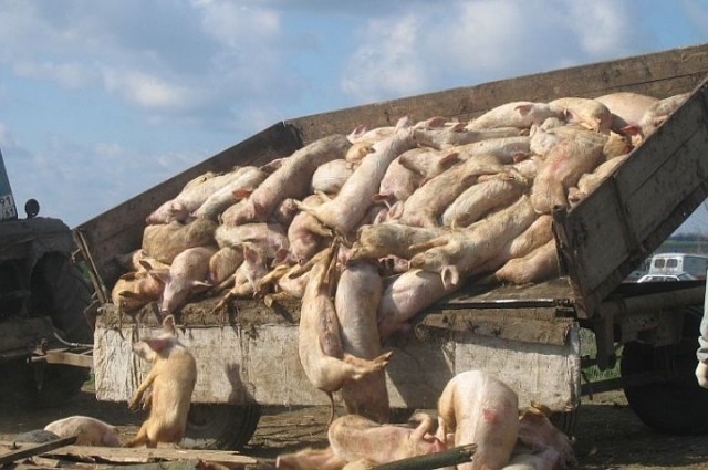 В Москве изменили место строительства "огромной" мечети