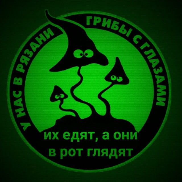Японские ученые заявили, что грибы умеют разговаривать – особенно после дождя