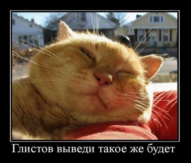 Прикольные и просто красивые картинки 12.05.2023