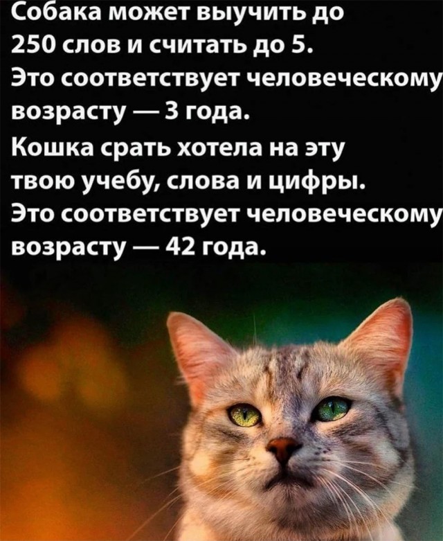Немного картинок и прочей хреноты Vol. 22