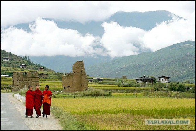 Королевство Бутан.