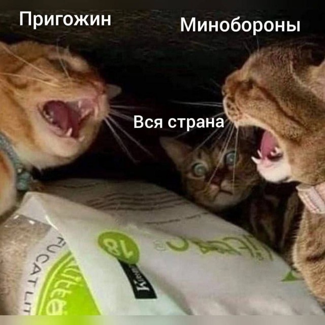 Если бы такие люди как Владимир Путин правили СССР, тот бы не развалился. Володин ( это фамилия , а не принадлежность)