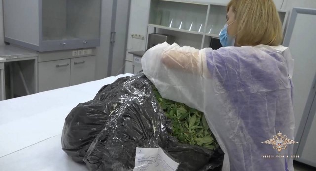 В Татарстане задержали парня с 750 граммами мармеладных мишек с марихуаной. У него дома была обнаружена целая плантация конопли