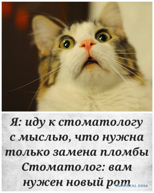 Ошибки минета. Что не нравится мужчинам в оральном сексе?