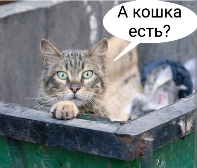 Обложили со всех сторон