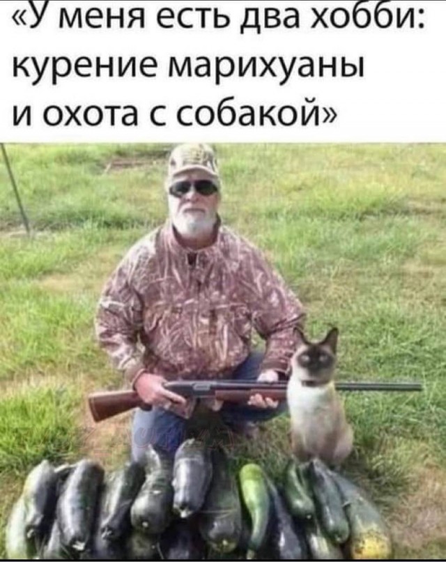 Неадекватность