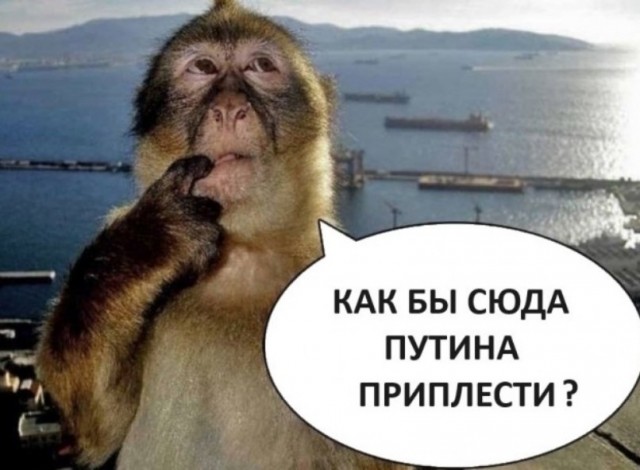 Жизнь в Казахстане изнутри: пенсии выше российских, квартиры безбожно дешевые