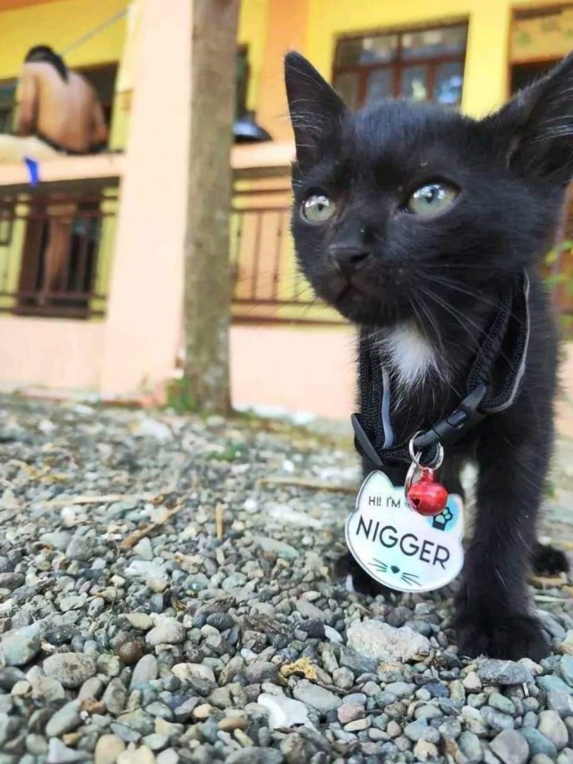 Всего понемногу. От 11.10.