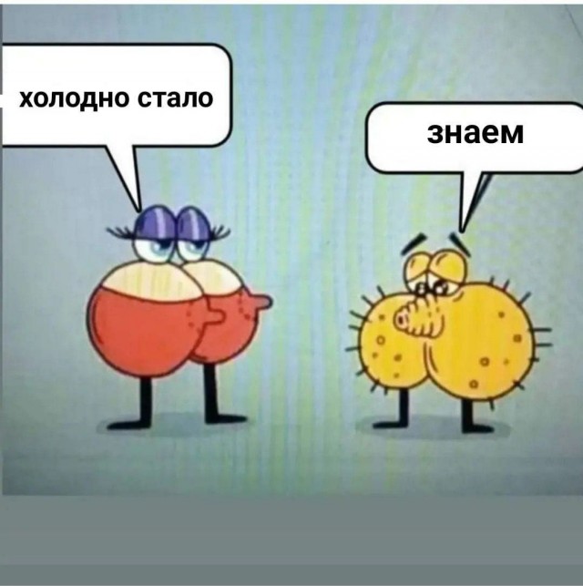 Всего понемногу. От 08.12.23