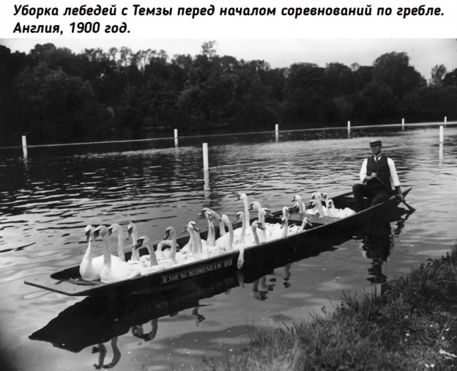 Небольшая подборка исторических фото (06.02)