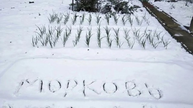 Так себе картинки 19.05.24