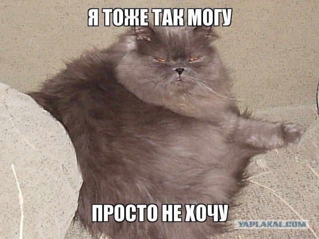 А нормально так чел натренировался!